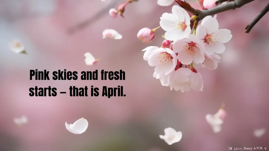 What Is a Vibe Caption? And the Best April Vibe Captions for 2026