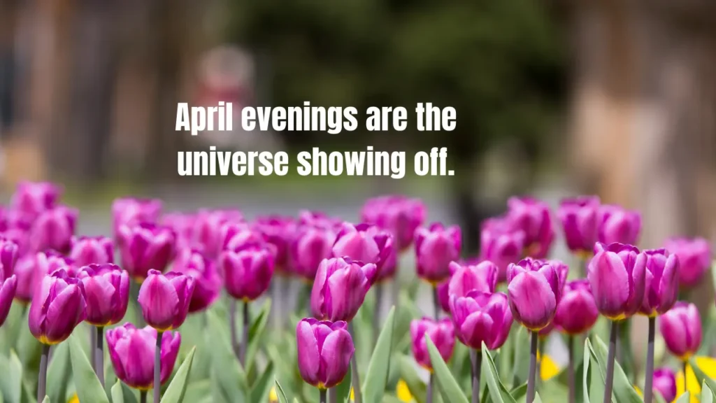 130+ Best April Captions for Instagram — Every Spring Vibe Covered