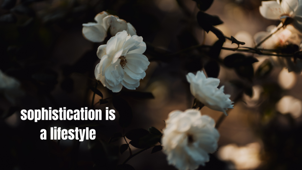 How to Make Your Instagram Post Look Aesthetic — From Photo to Caption