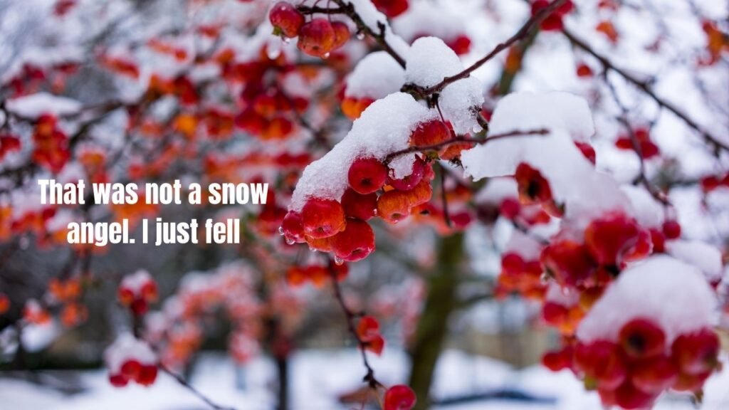 Winter Travel & Adventure Captions