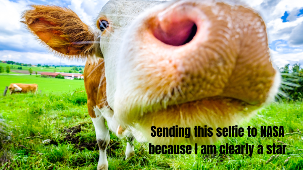 Funny Captions for Night Out Photos