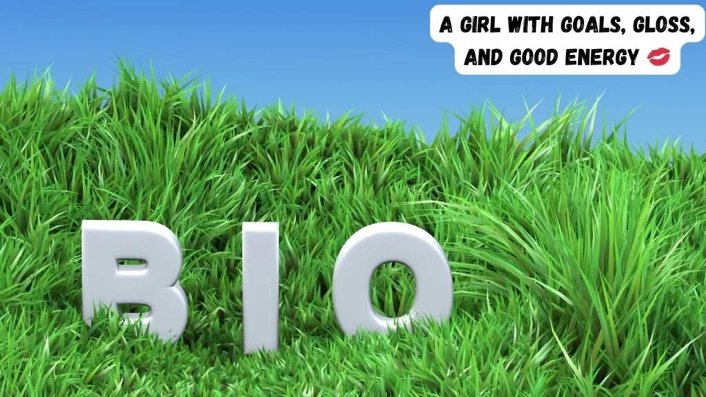 Stylish Instagram Bios That Make Your Profile Unforgettable