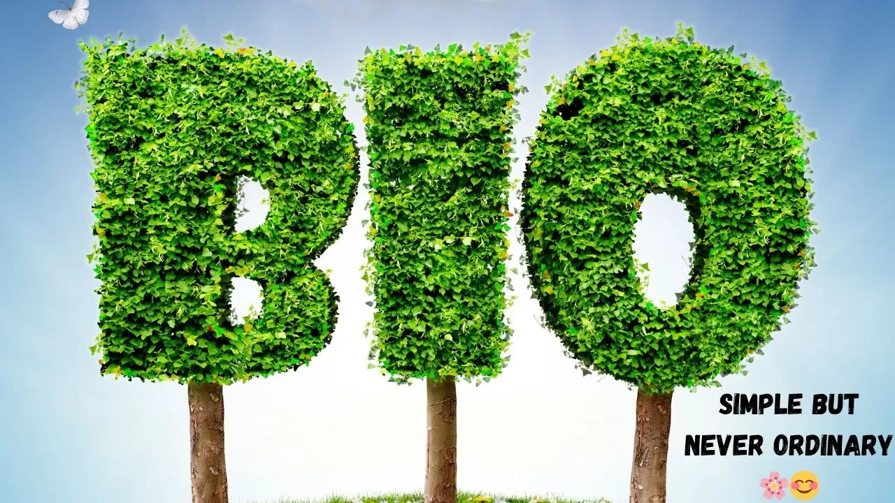 150 Stylish Instagram Bios to Upgrade Your Profile and Stand Out ✨