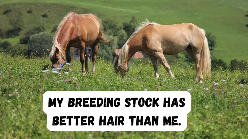 Romantic and Emotional Breeding Captions Full of Love