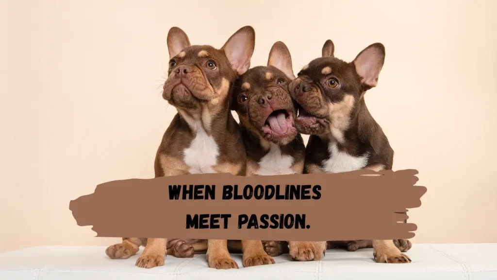 Bold and Unique Breeding Captions That Make a Statement