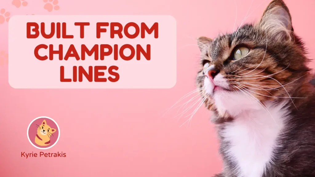 Handsome and Catchy Breeding Captions for Reels and Social Media