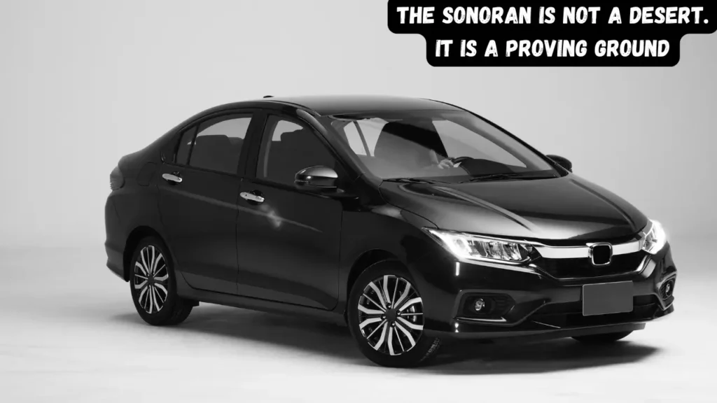 Thar Captions by Variant and Style — What No One Else Is Telling You