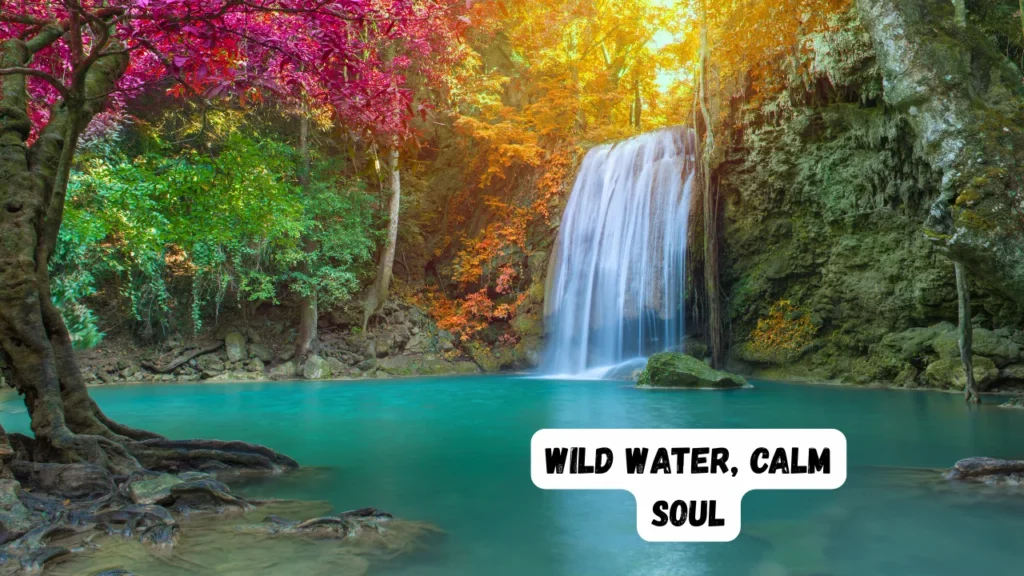 Waterfall Captions for Every Mood, Moment, and Person