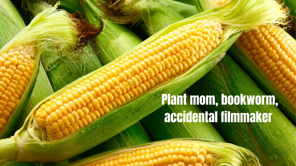 How to Write an Instagram Bio That Actually Ranks & Converts in 2026