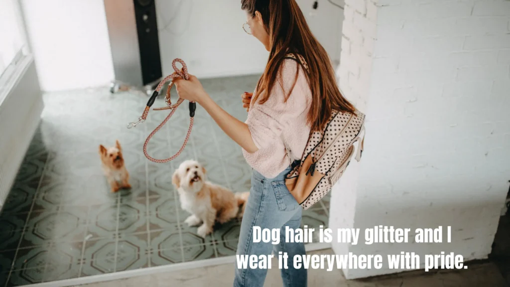 Cute Dog Captions for Instagram