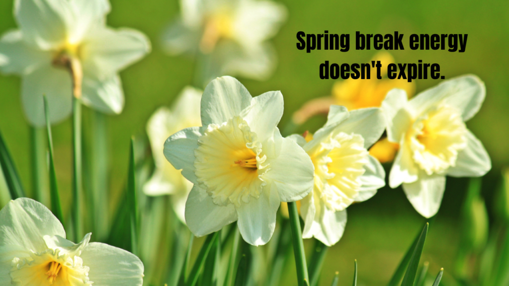 Short Spring Break Captions for Instagram