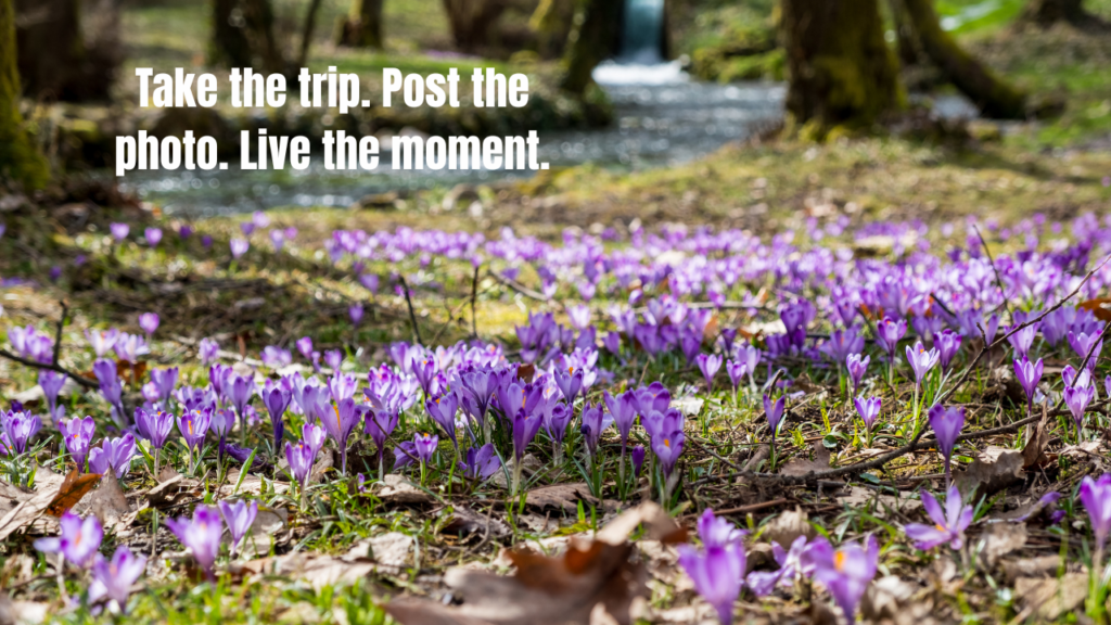 How to Say "Enjoy Your Spring Break" in a Caption