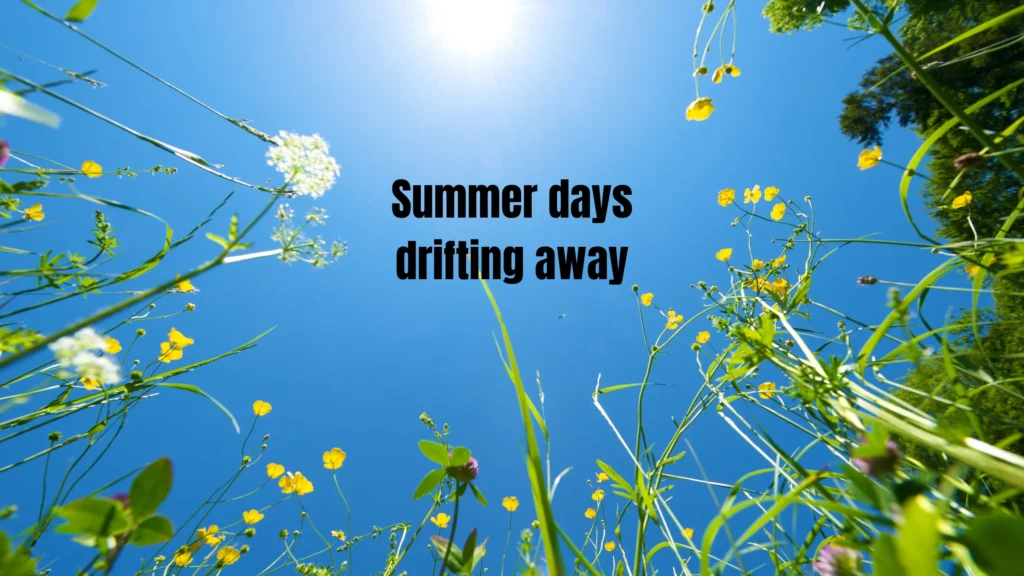 What's a Cool Caption? What Is an Aesthetic Caption for Summer?