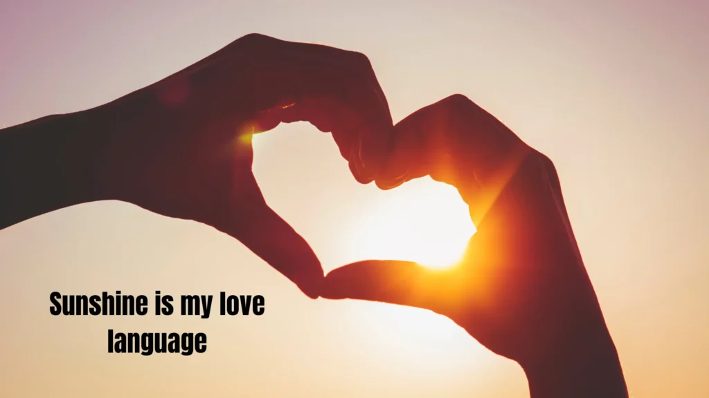 What Is the Best Caption for Summer?