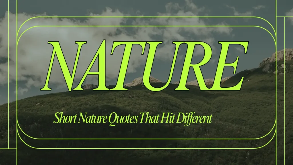 Full Moon & Night Sky Captions for Instagram