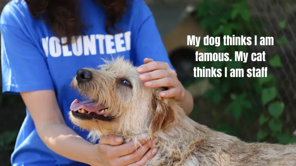 120+ Best Animal Captions for Instagram – Every Pet, Every Mood (2026)