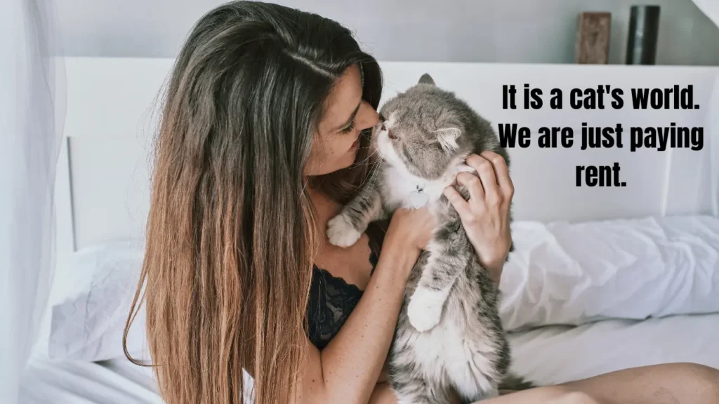 What Is a Vibe Caption? What Is an Aesthetic Caption? – Cat Edition 2026