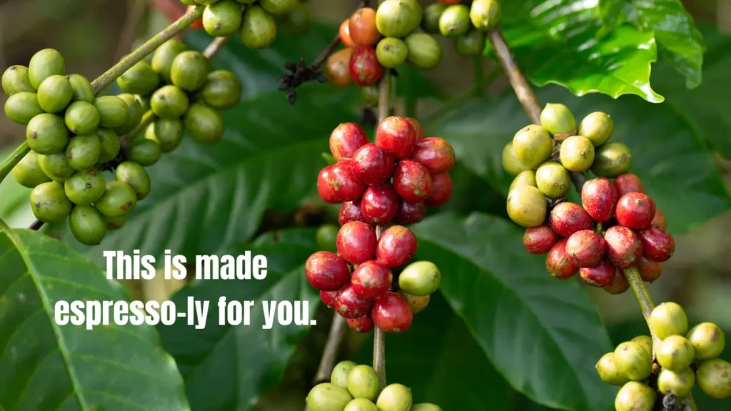 130+ Coffee Captions Master List – Famous Quotes, Seasonal & Inspirational (2026)