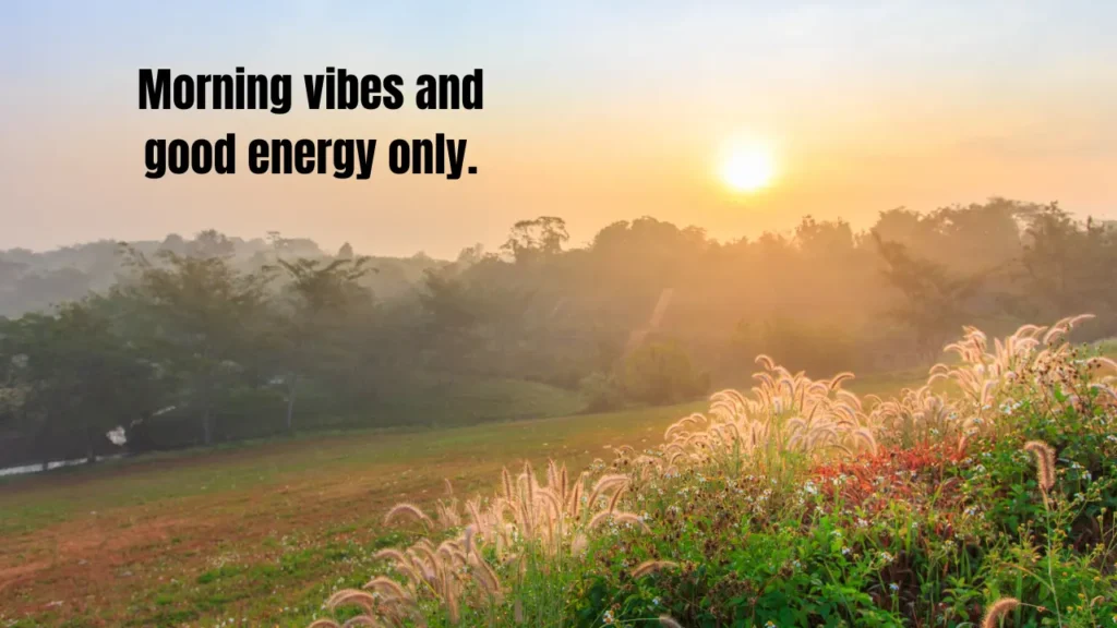 Funny Good Morning Captions That'll Make Anyone Smile