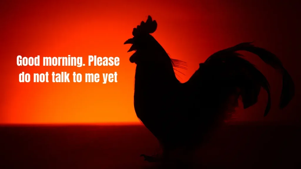 Sunrise Captions & Nature-Inspired Good Morning Lines