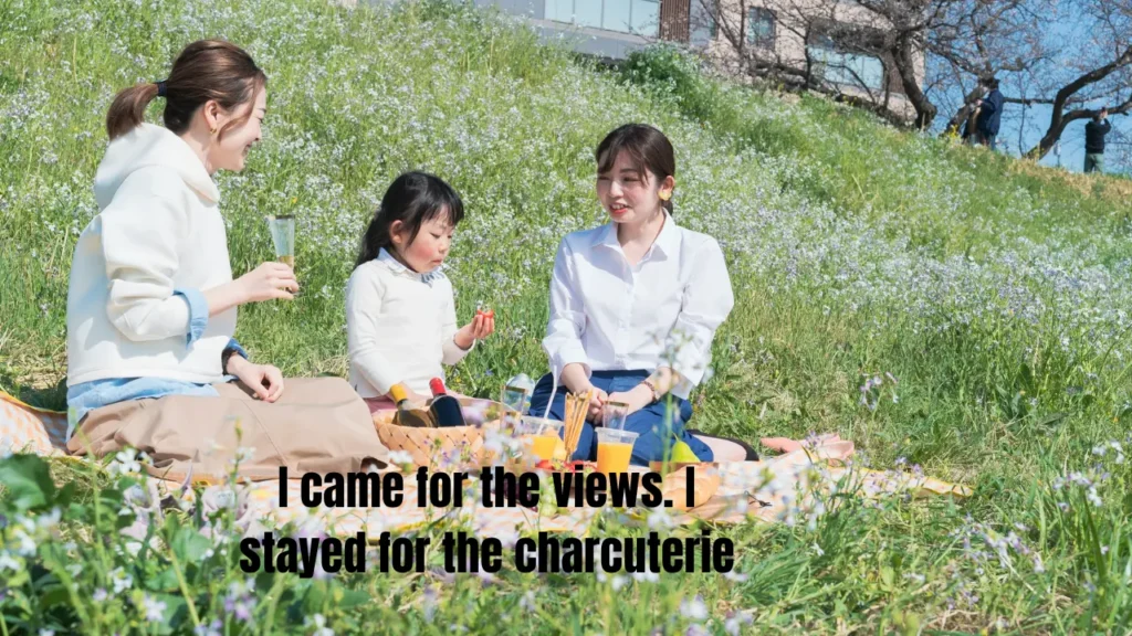 Cute & Romantic Picnic Captions for Couples + Squad Goals