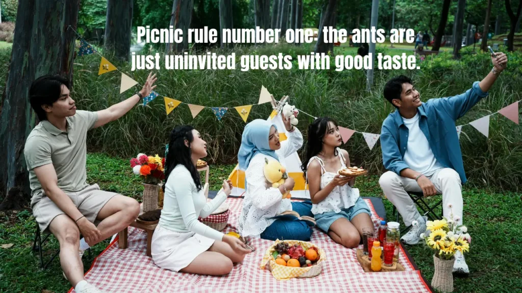 Best Picnic Captions for Instagram – Short, Aesthetic & Full of Outdoor Vibes