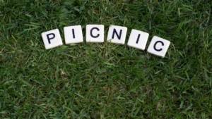 120+ Best Picnic Captions for Instagram (2026) – Cute, Funny & Aesthetic Quotes