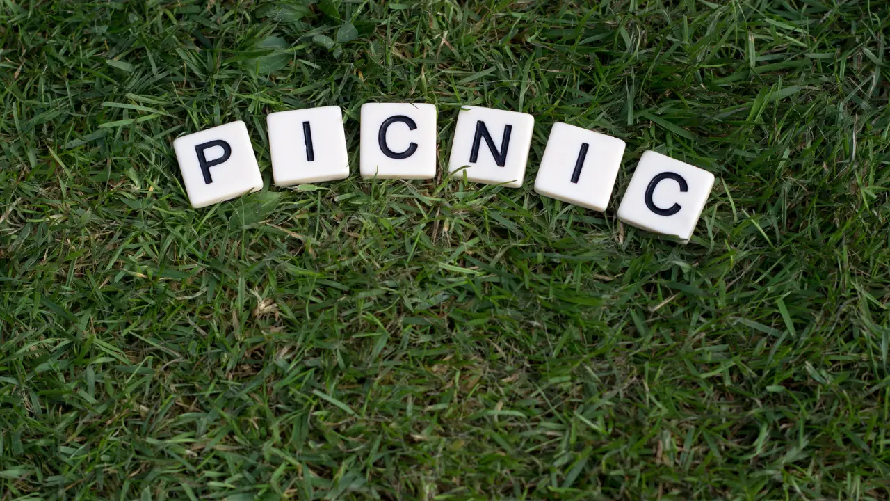 120+ Best Picnic Captions for Instagram (2026) – Cute, Funny & Aesthetic Quotes